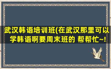 武汉韩语培训班(在武汉那里可以学韩语啊要周末班的 帮帮忙~!)